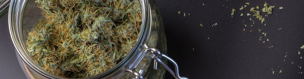 Cannabis-Blüten in einem geöffneten Glas