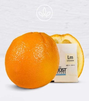 Feuchtigkeitsregulierer mit Terpenen-Boost Limonene 4g